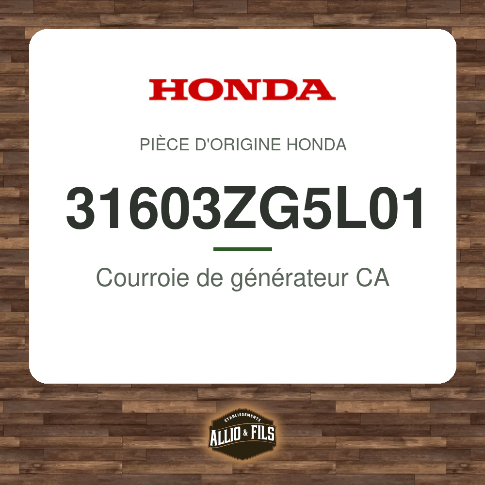 ?f=HO31603ZG5L01-1