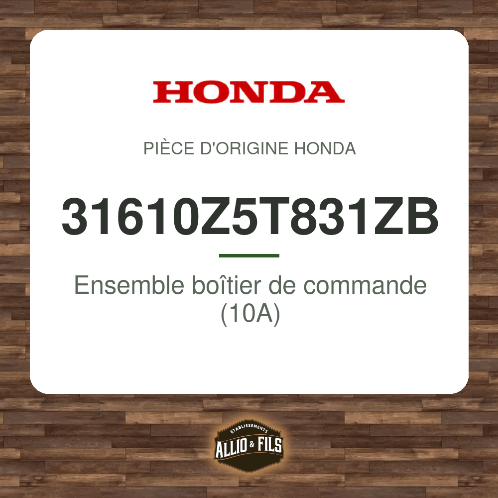 ?f=HO31610Z5T831ZB-2