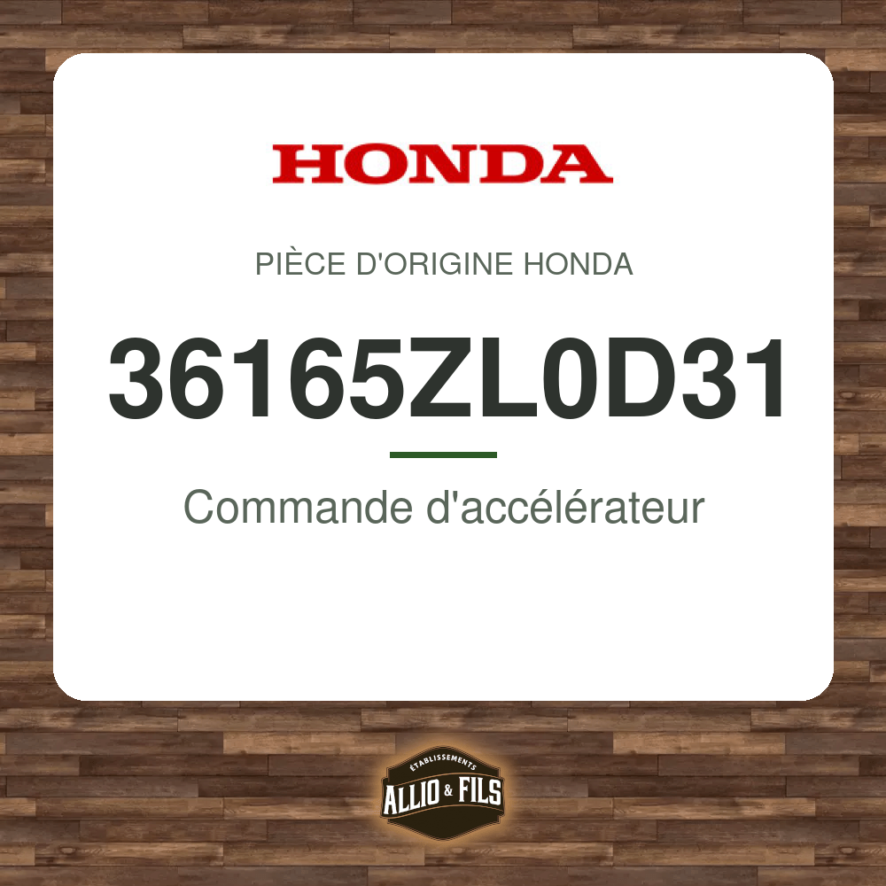 ?f=HO36165ZL0D31-2