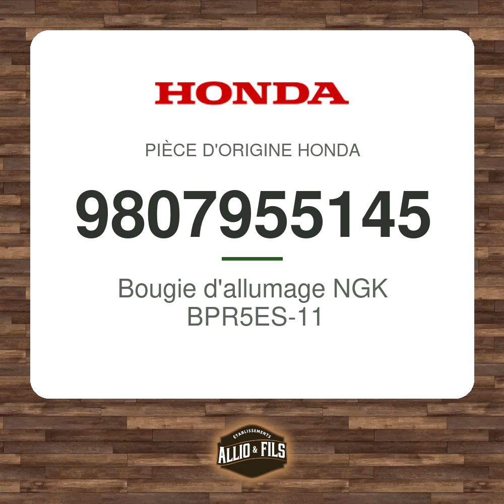 ?f=HO9807955145-2
