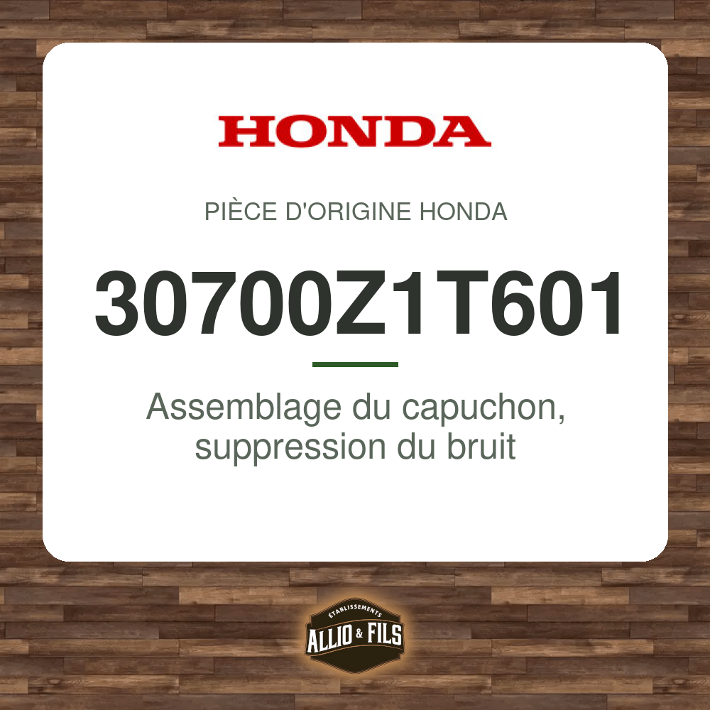 ?f=HO30700Z1T601-2
