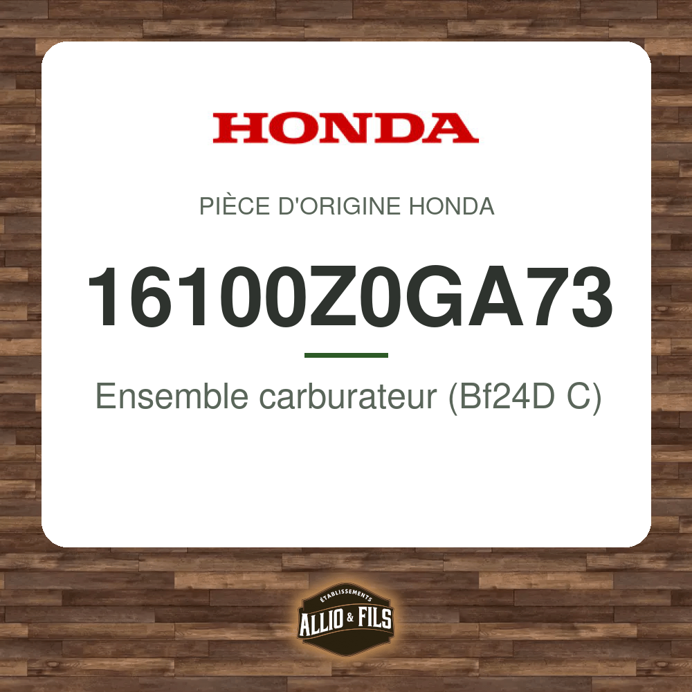 ?f=HO16100Z0GA73-2