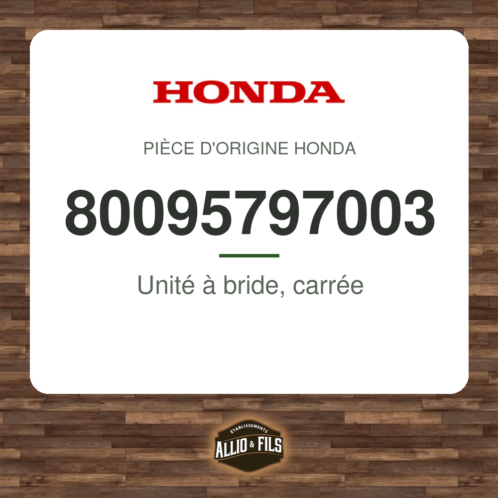 ?f=HO80095797003-2