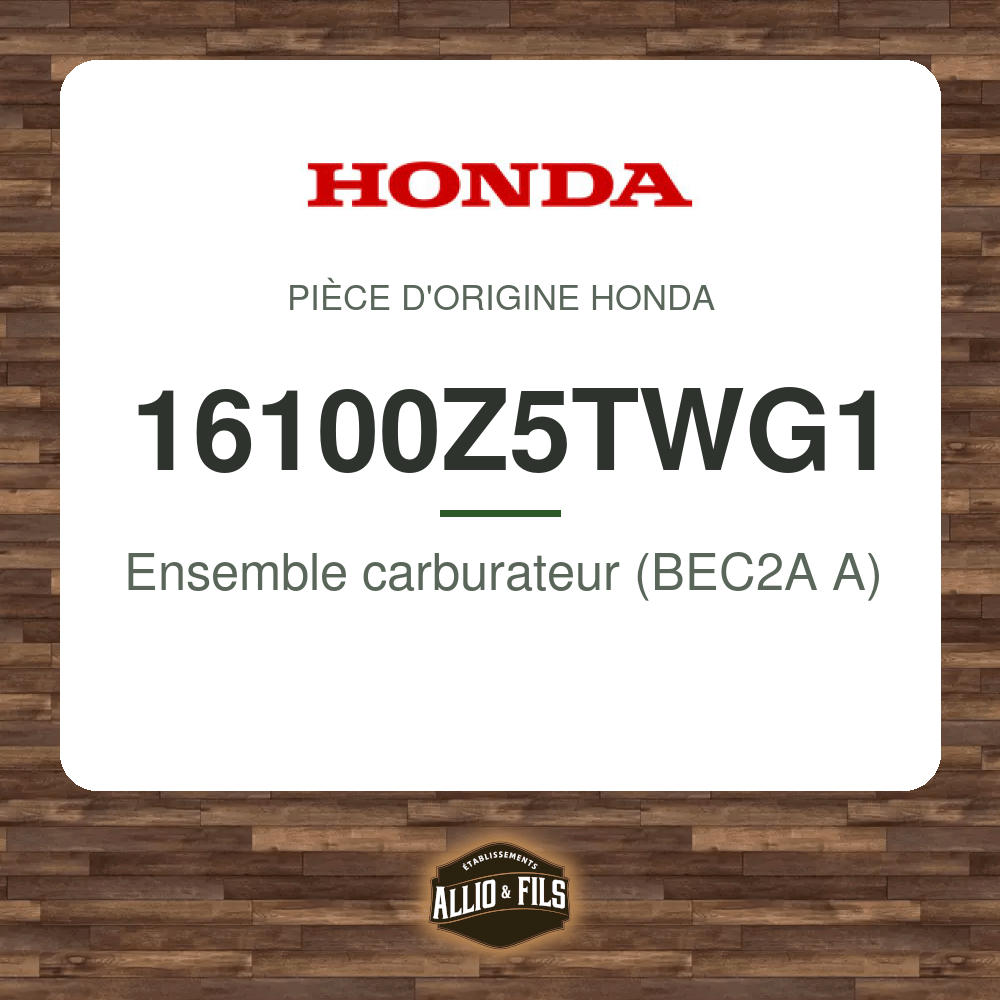 ?f=HO16100Z5TWG1-2