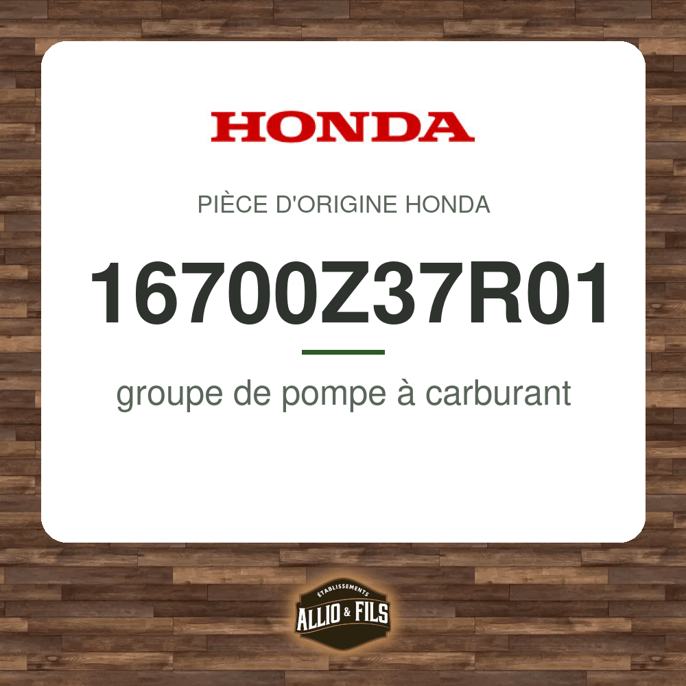 ?f=HO16700Z37R01-2