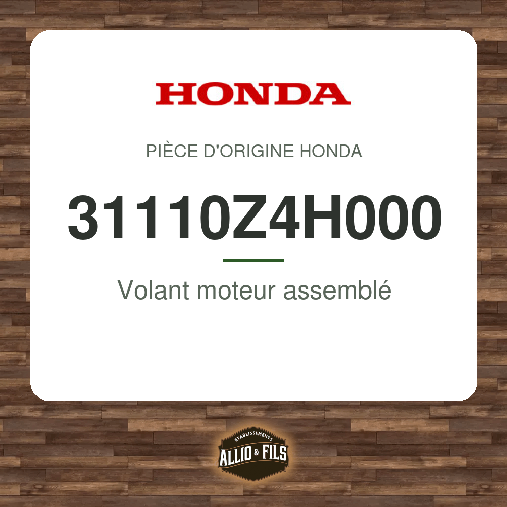 ?f=HO31110Z4H000-2