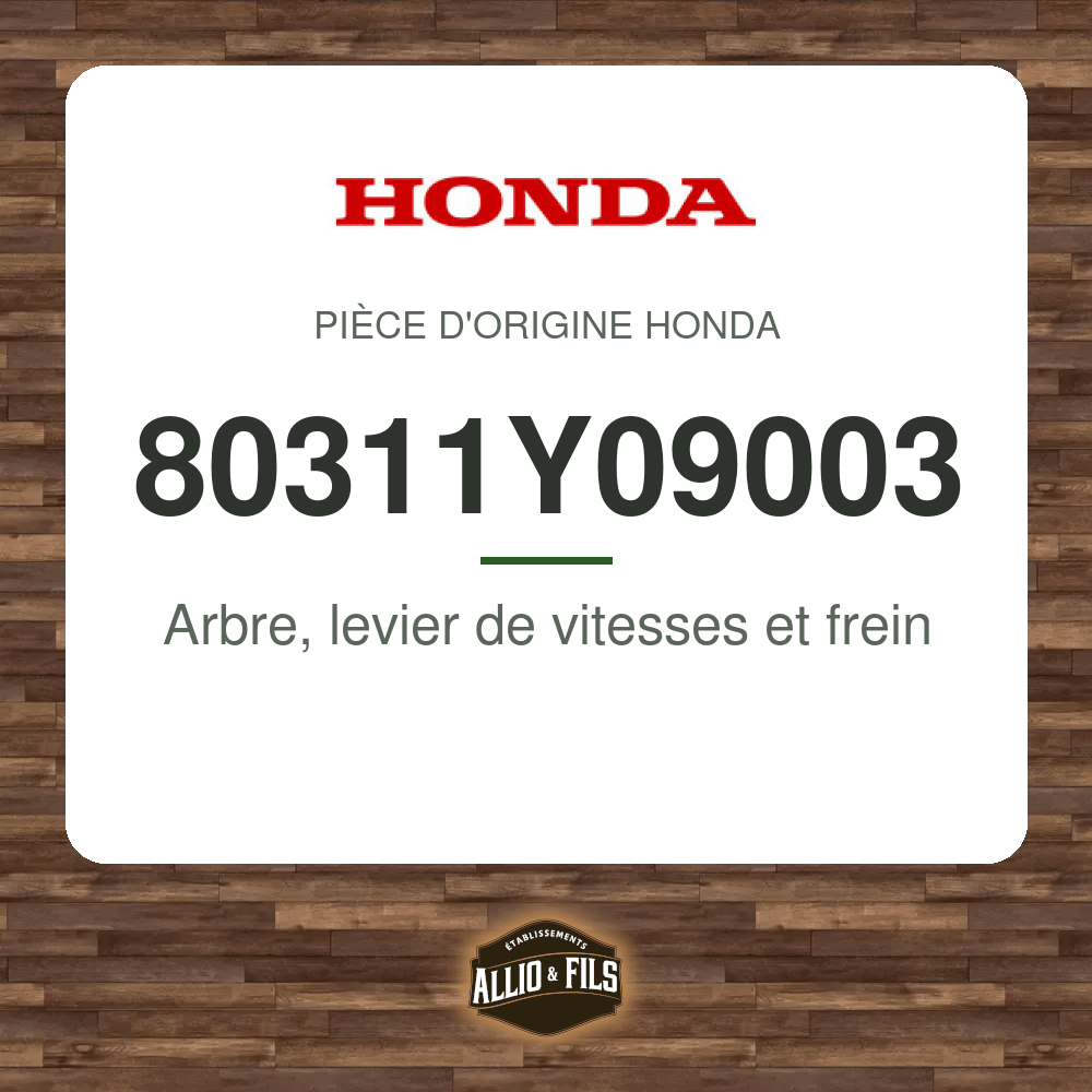 ?f=HO80311Y09003-2