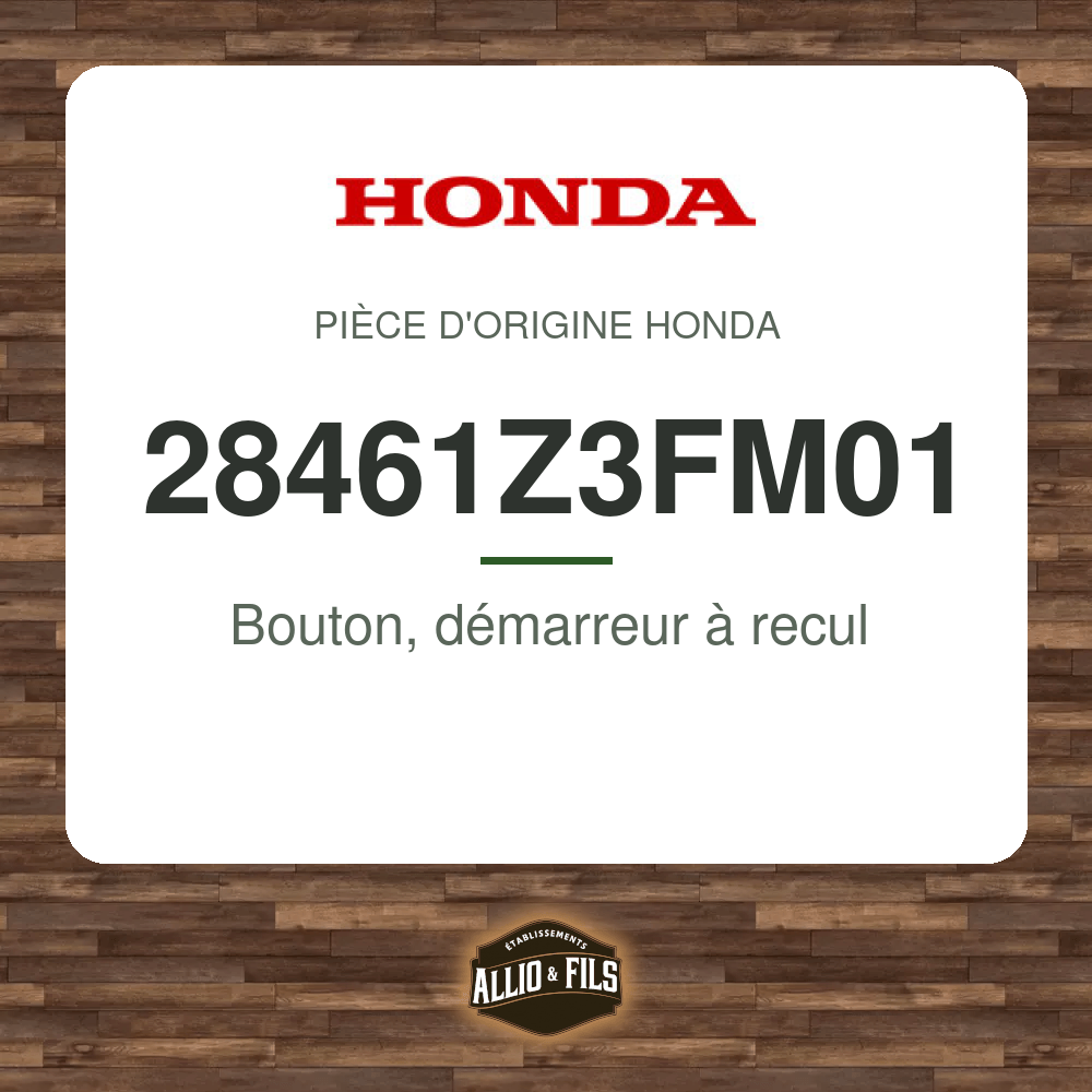 ?f=HO28461Z3FM01-2