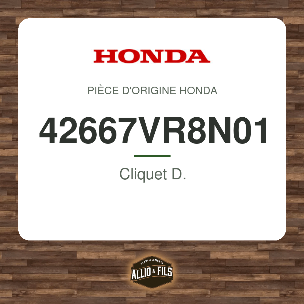 ?f=HO42667VR8N01-2