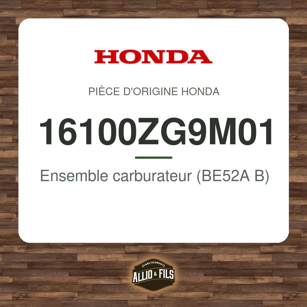 ?f=HO16100ZG9M01-2