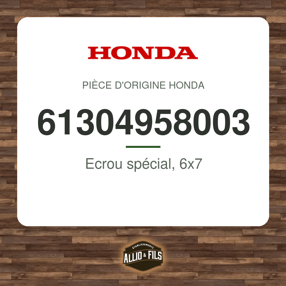 ?f=HO61304958003-2