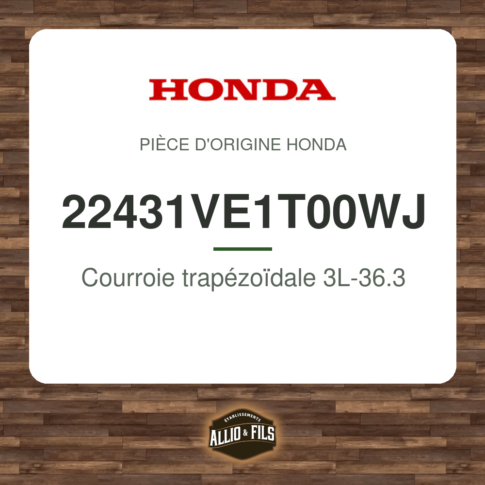 ?f=HO22431VE1T00WJ-1