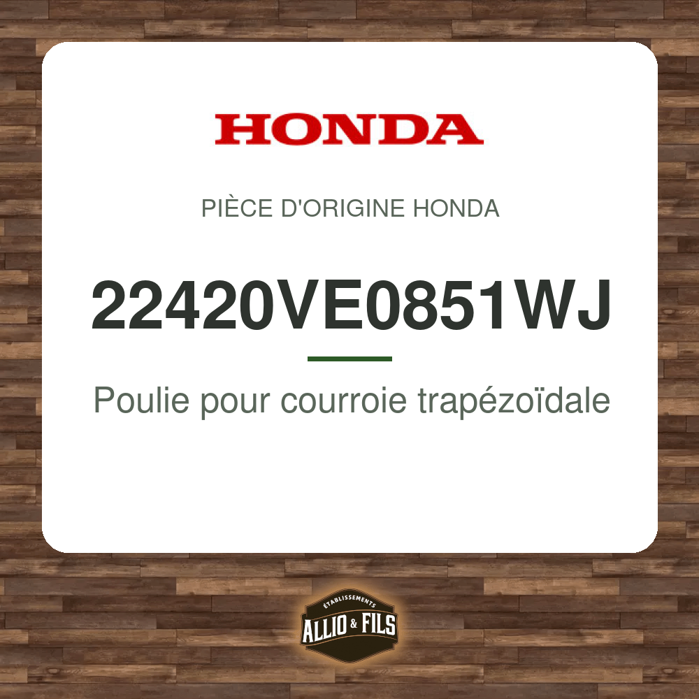 ?f=HO22420VE0851WJ-1