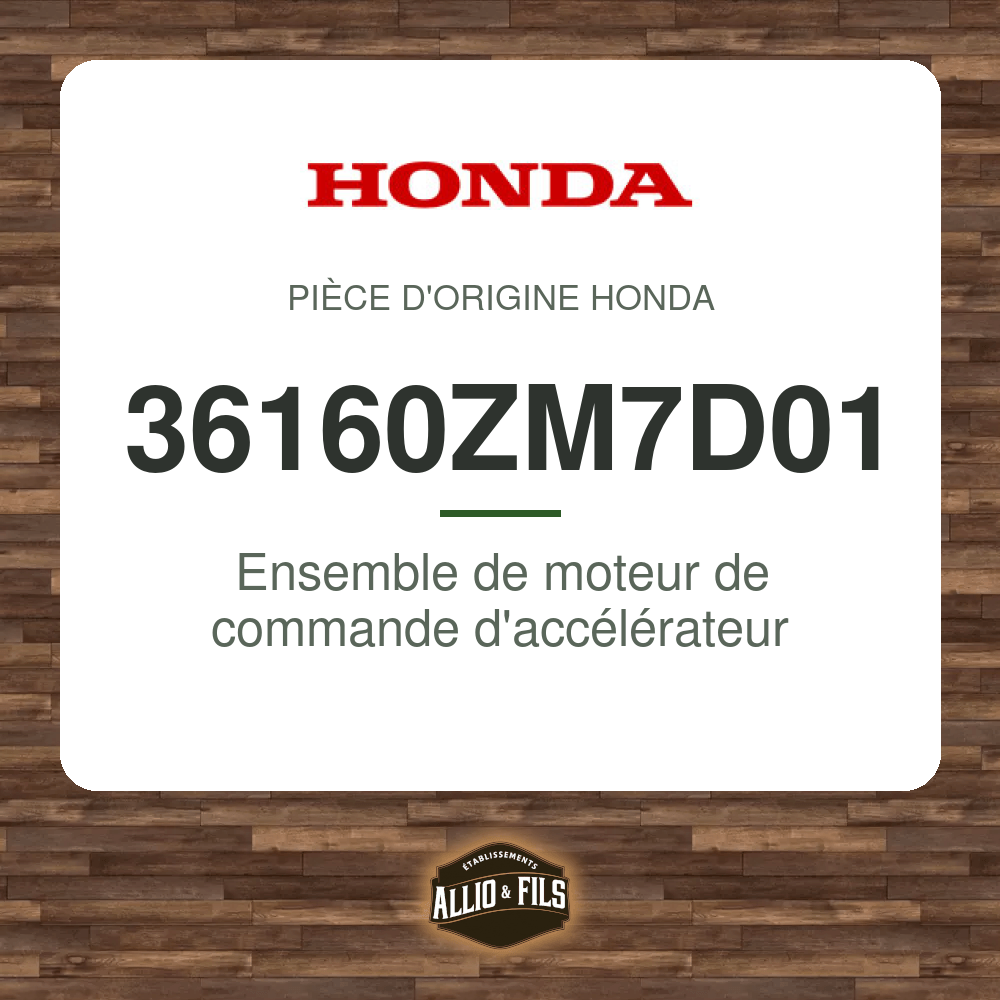 ?f=HO36160ZM7D01-2