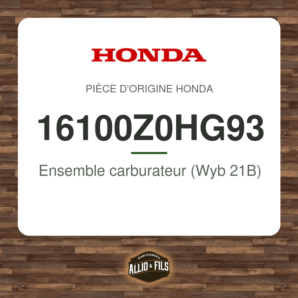 ?f=HO16100Z0HG93-2