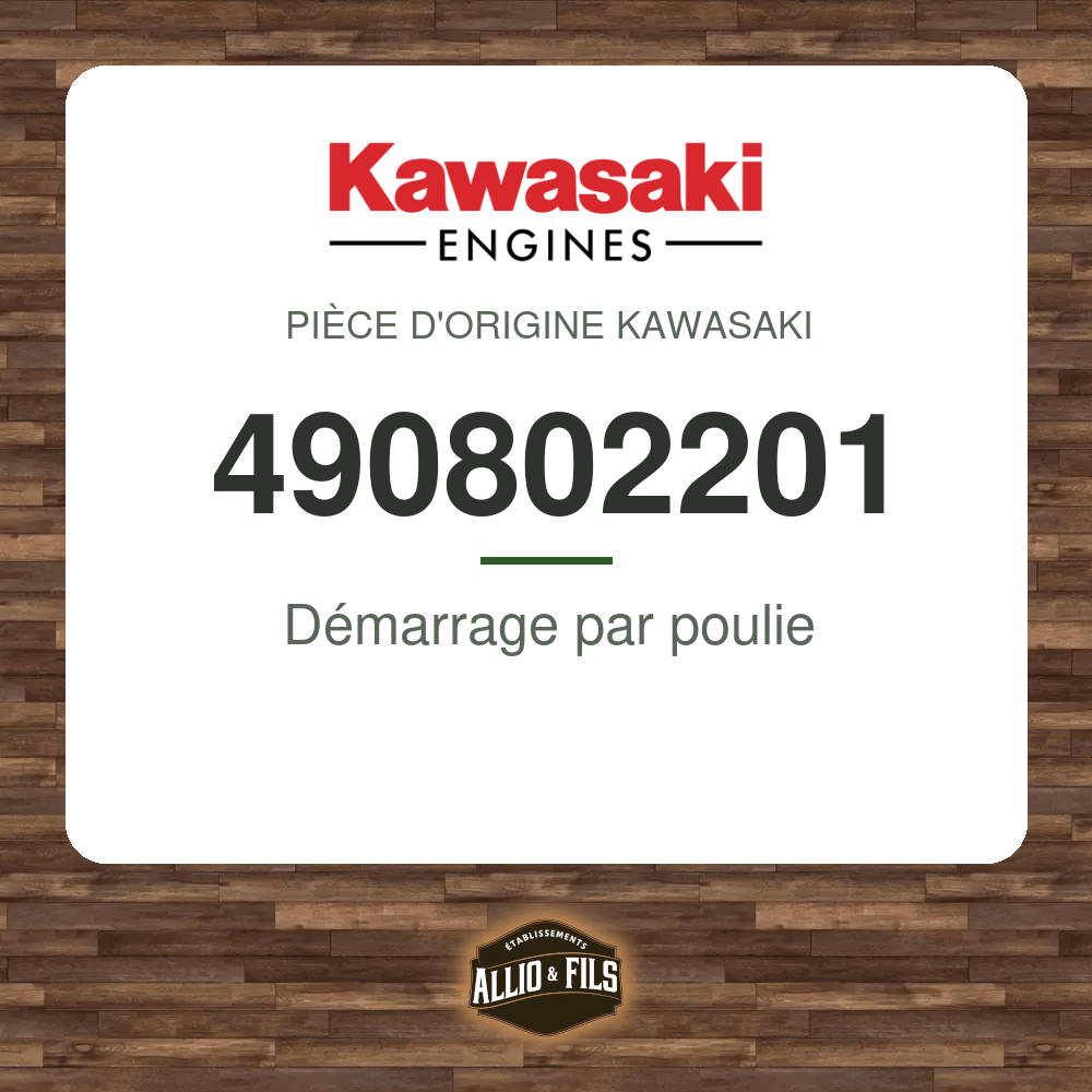 Démarrage par poulie - Kawasaki 490802201