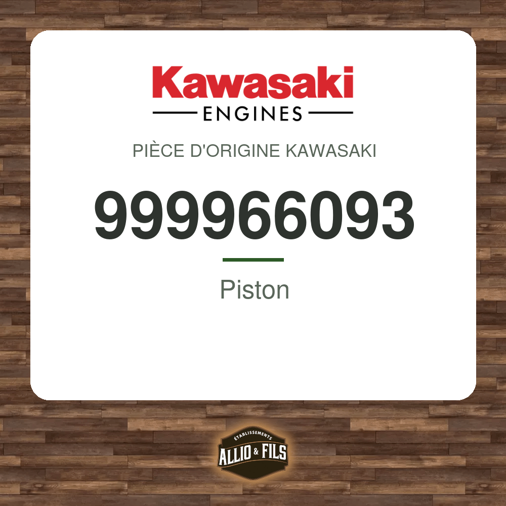 Piston - Kawasaki 999966093