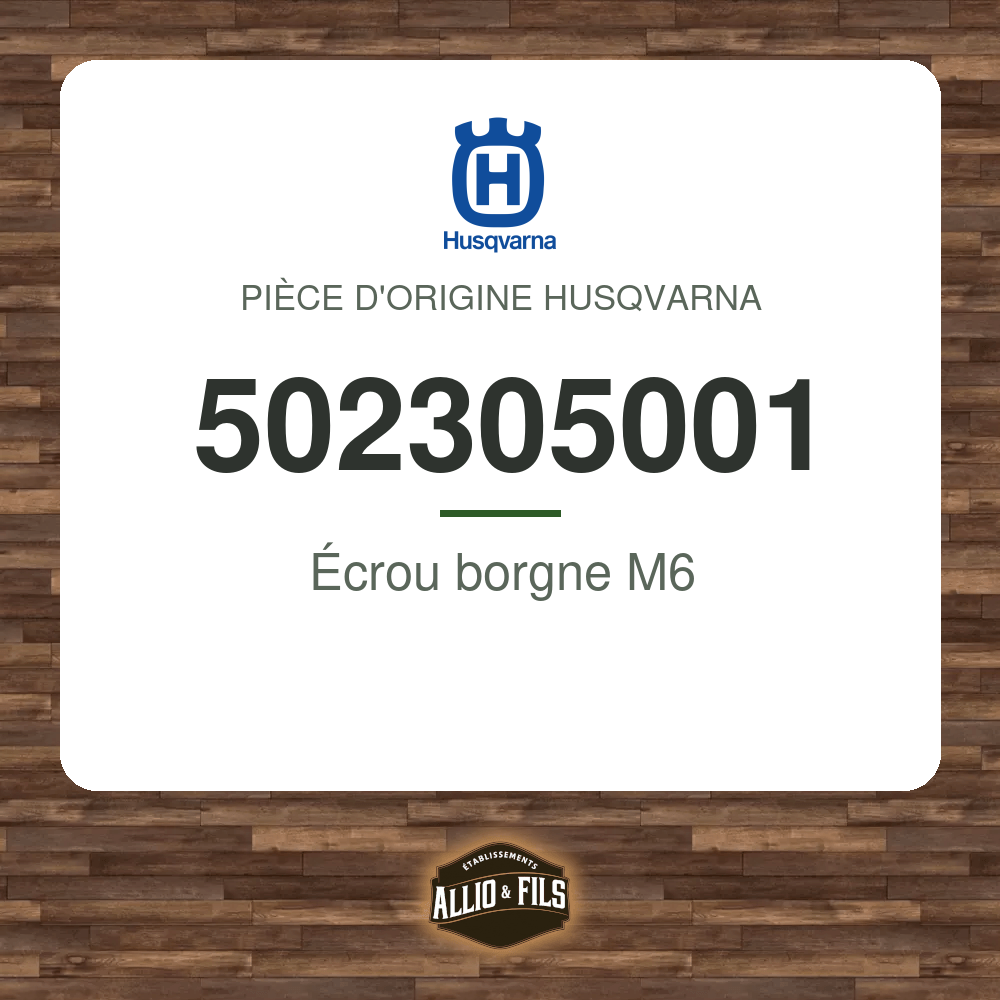 Écrou borgne M6 - Husqvarna 502305001
