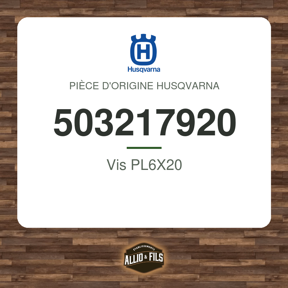 Vis PL6X20 - Husqvarna 503217920