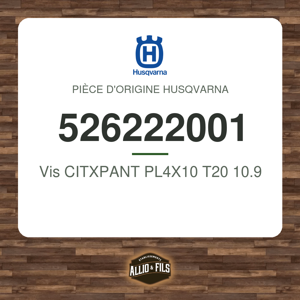 Vis CITXPANT PL4X10 T20 10.9 - Husqvarna 526222001