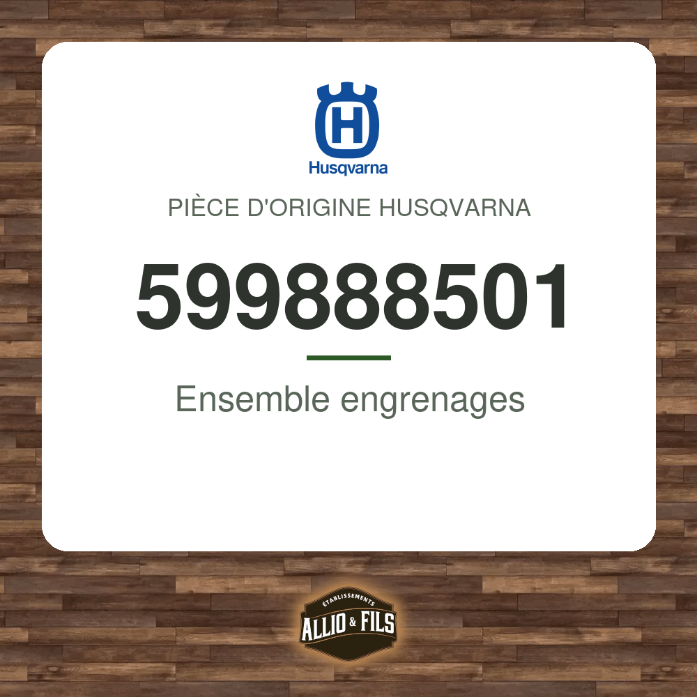 Ensemble engrenages - Husqvarna 599888501