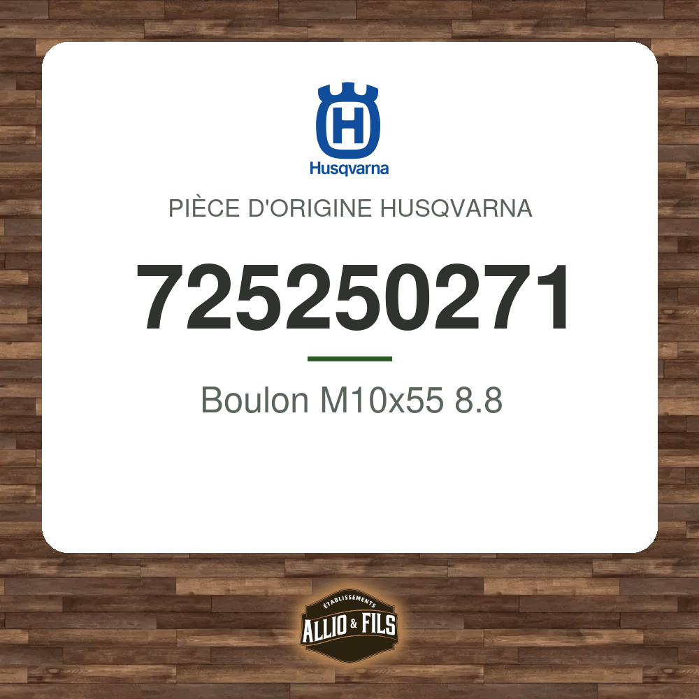 Boulon M10x55 8.8 - Husqvarna 725250271