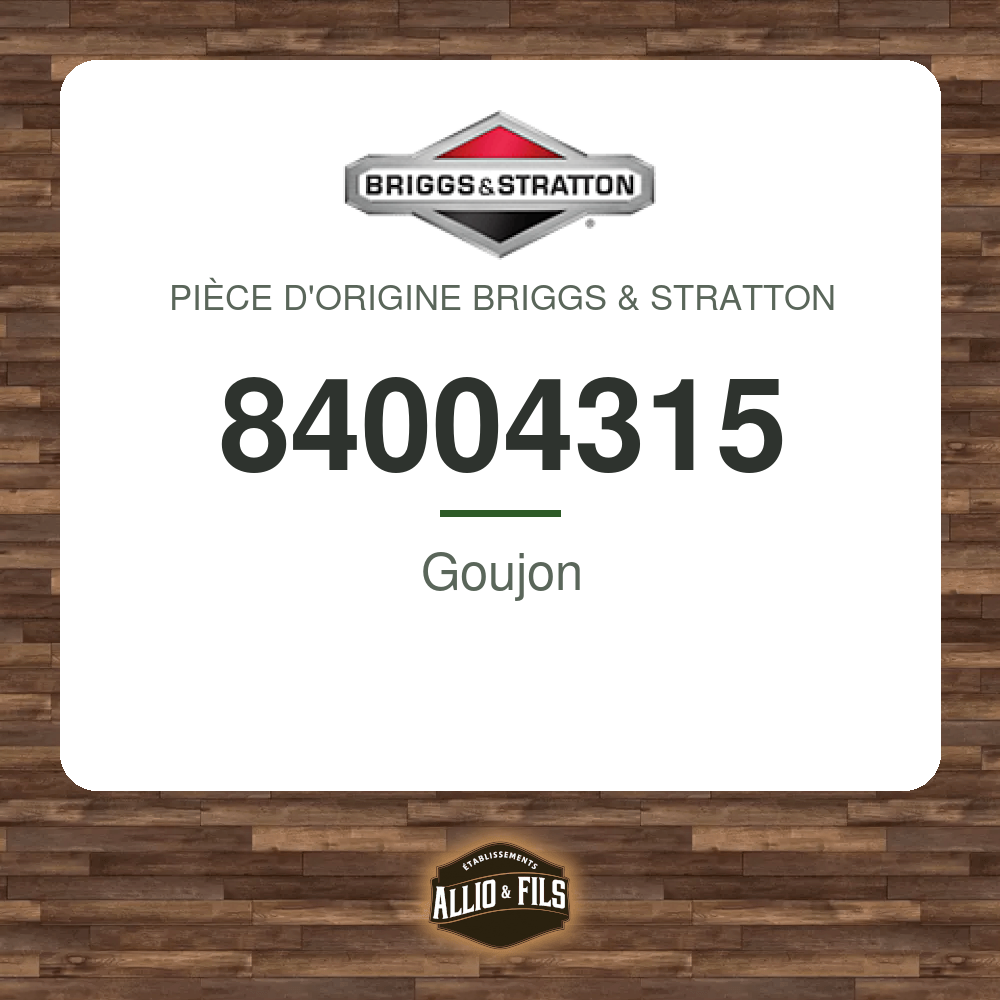 Goujon - Briggs & Stratton 84004315