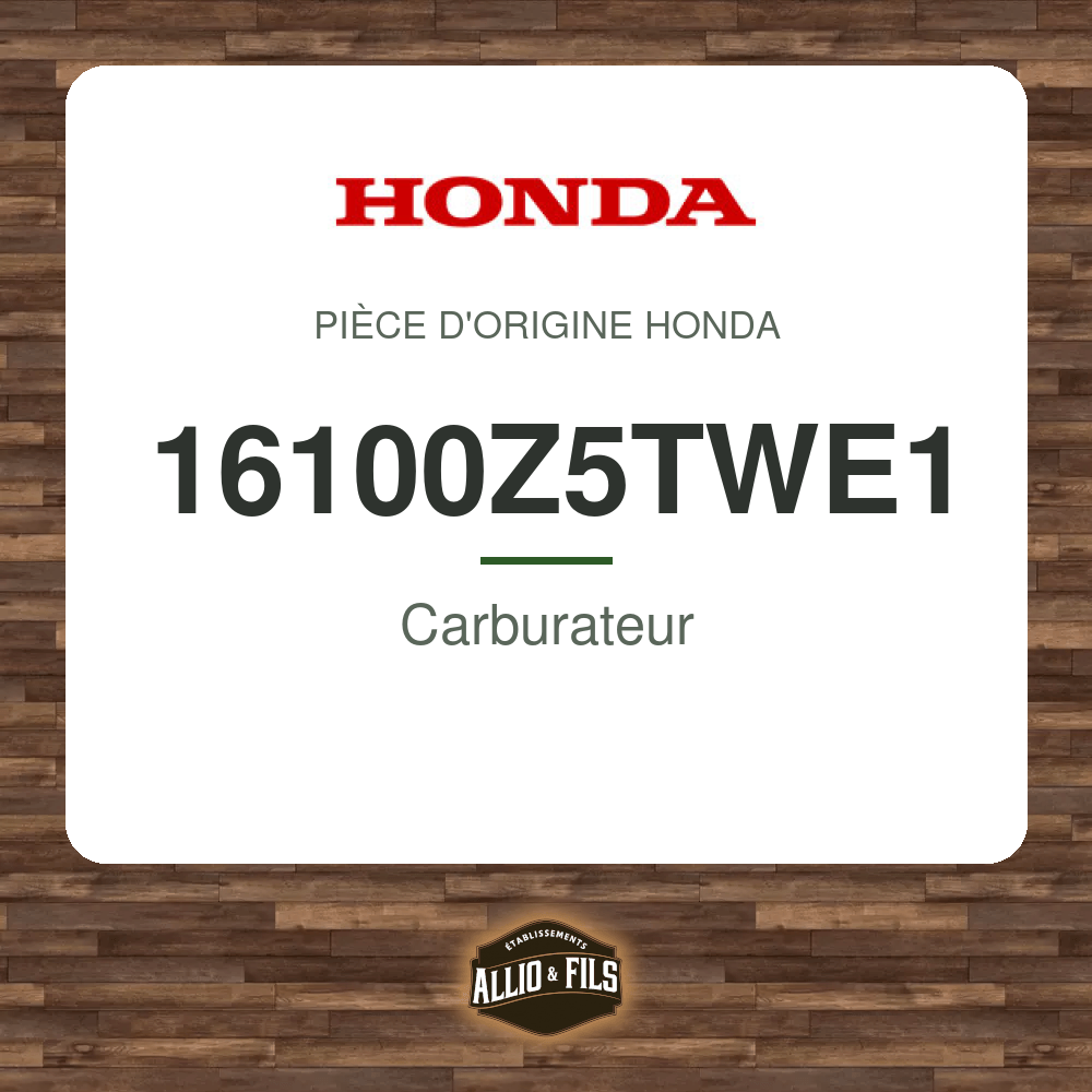 ?f=HO16100Z5TWE1-86951