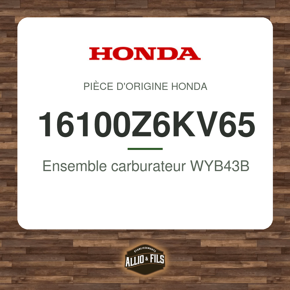 ?f=HO16100Z6KV65-86952