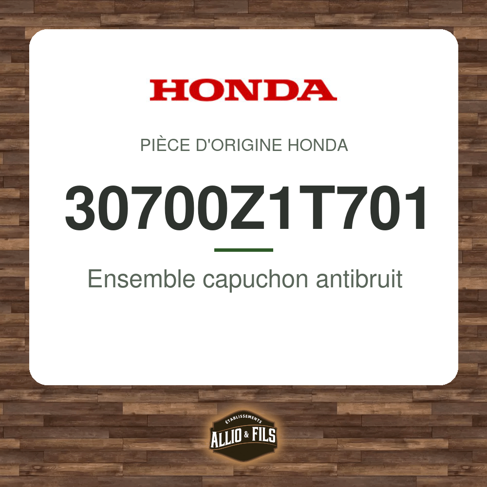 ?f=HO30700Z1T701-87023