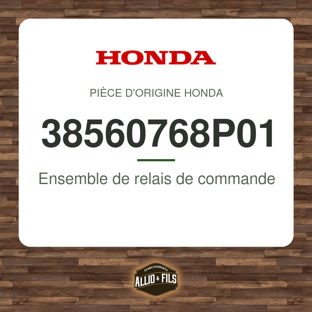 ?f=HO38560768P01-87100