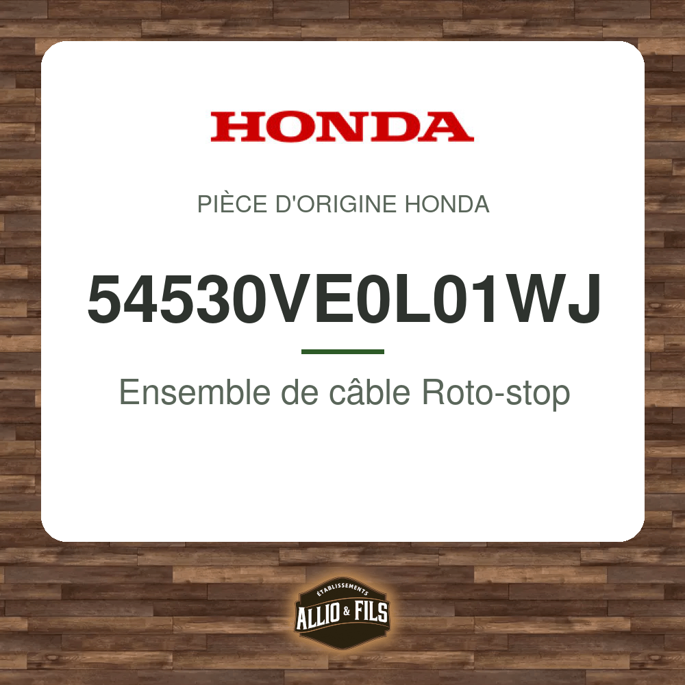 ?f=HO54530VE0L01WJ-88070