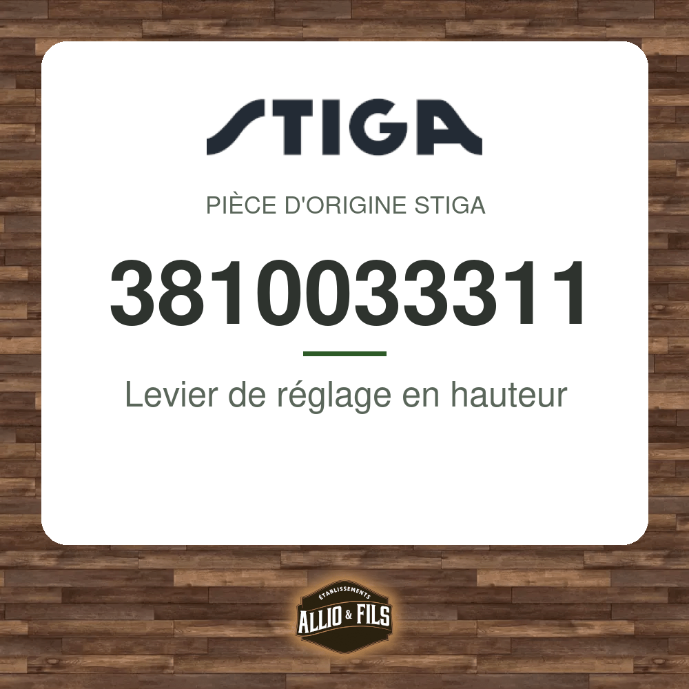 ?f=ST3810033311-97945
