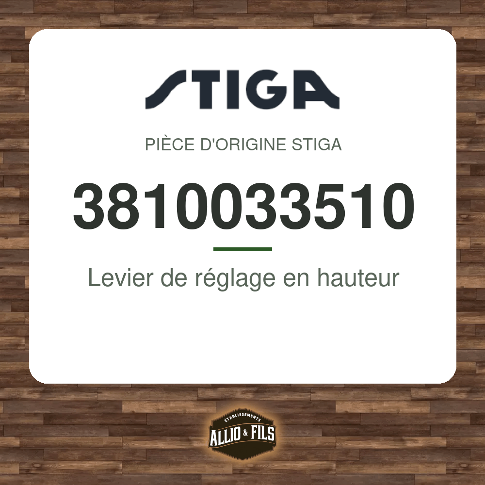 ?f=ST3810033510-97948