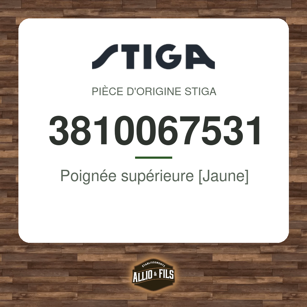 ?f=ST3810067531-98007