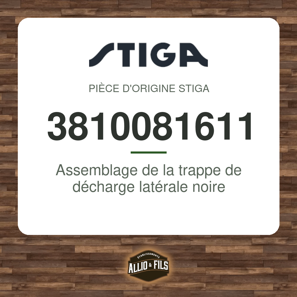 ?f=ST3810081611-98082
