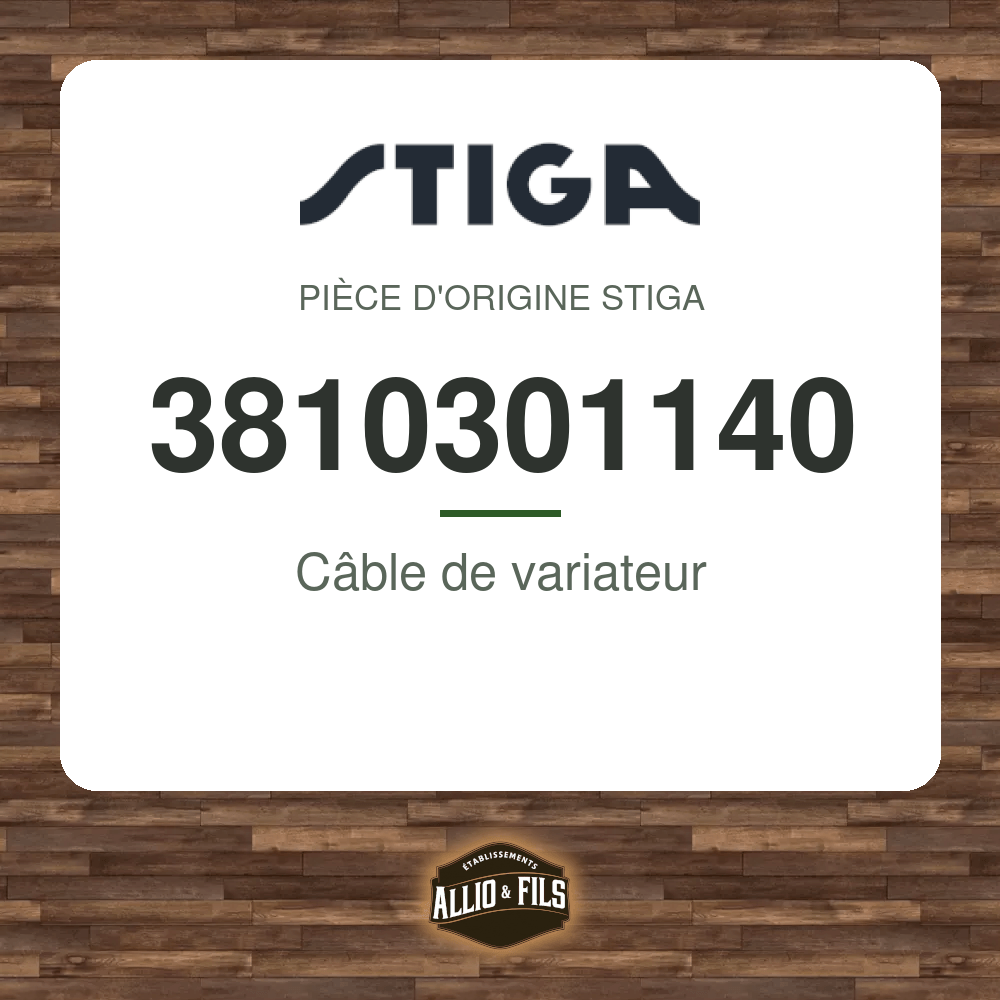 ?f=ST3810301140-98100