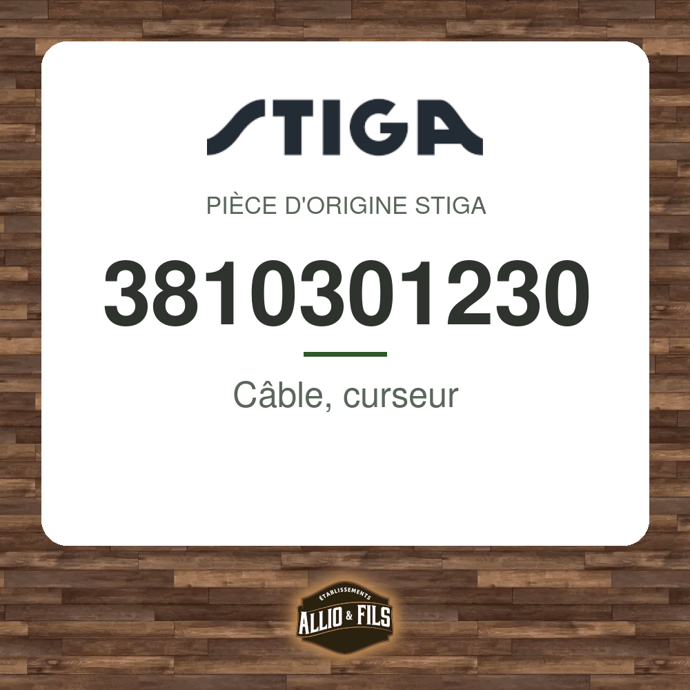 ?f=ST3810301230-98110
