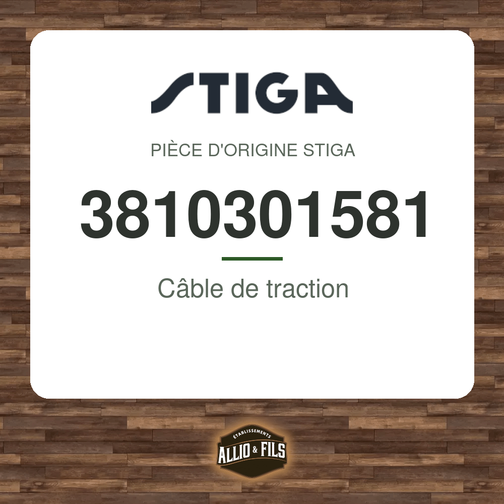 ?f=ST3810301581-98138