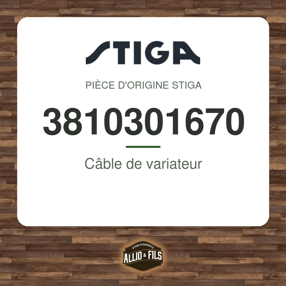 ?f=ST3810301670-98144