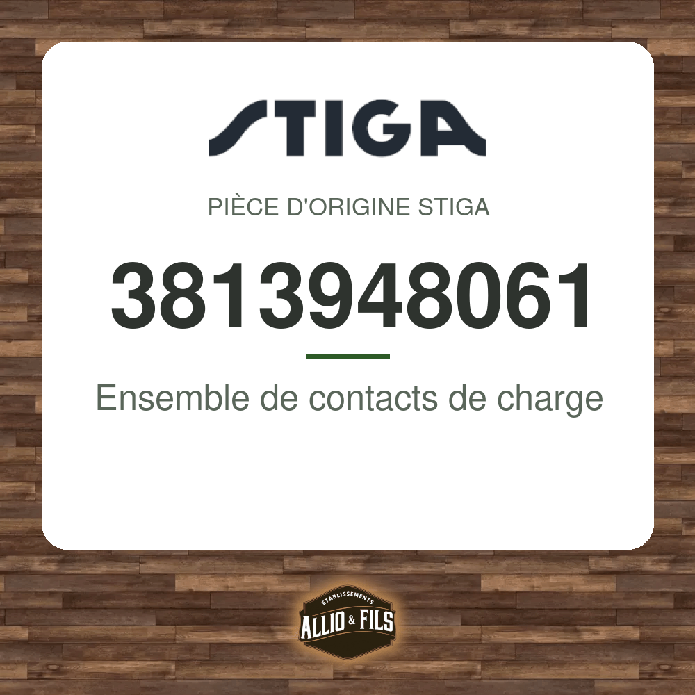 ?f=ST3813948061-98191