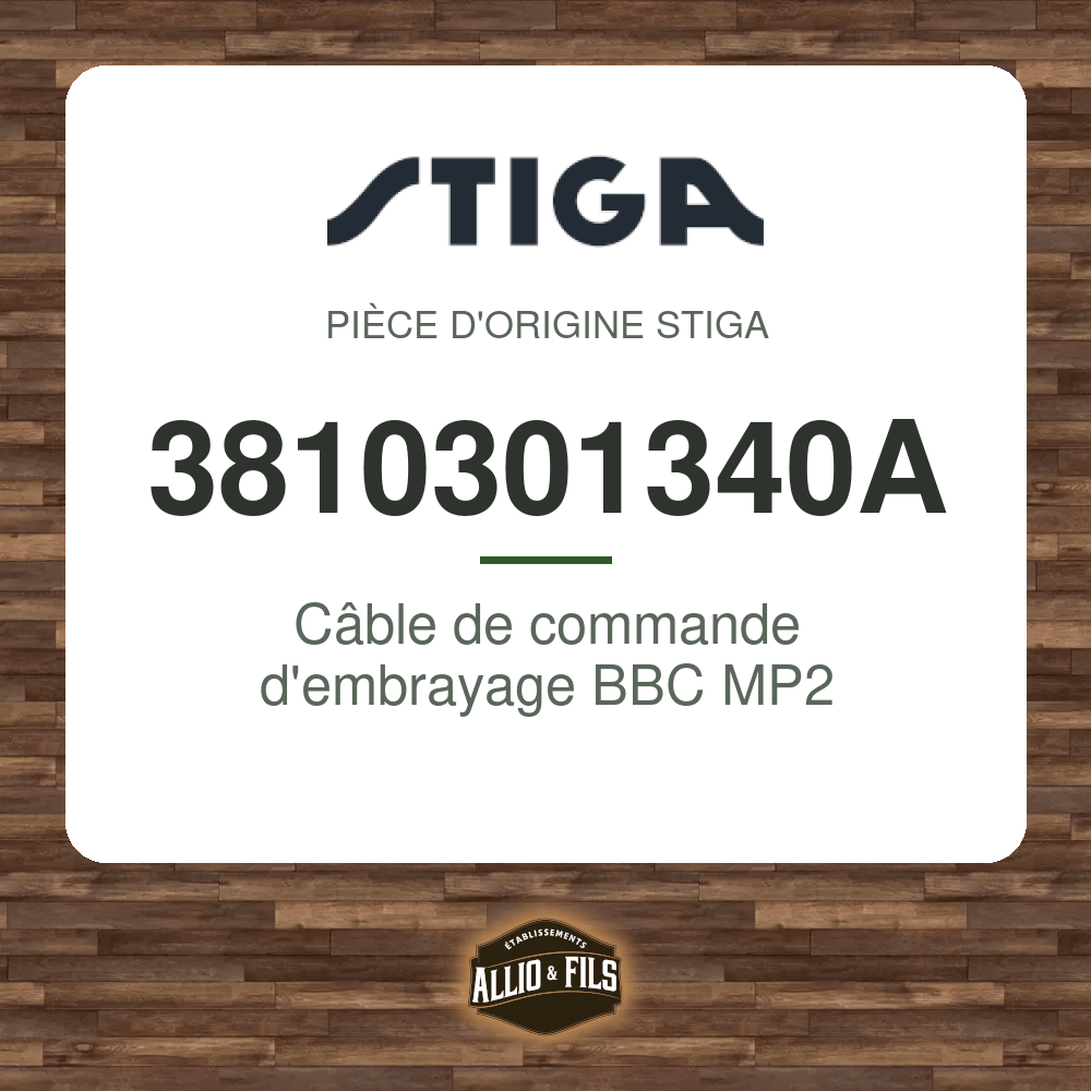 ?f=ST3810301340A-98197
