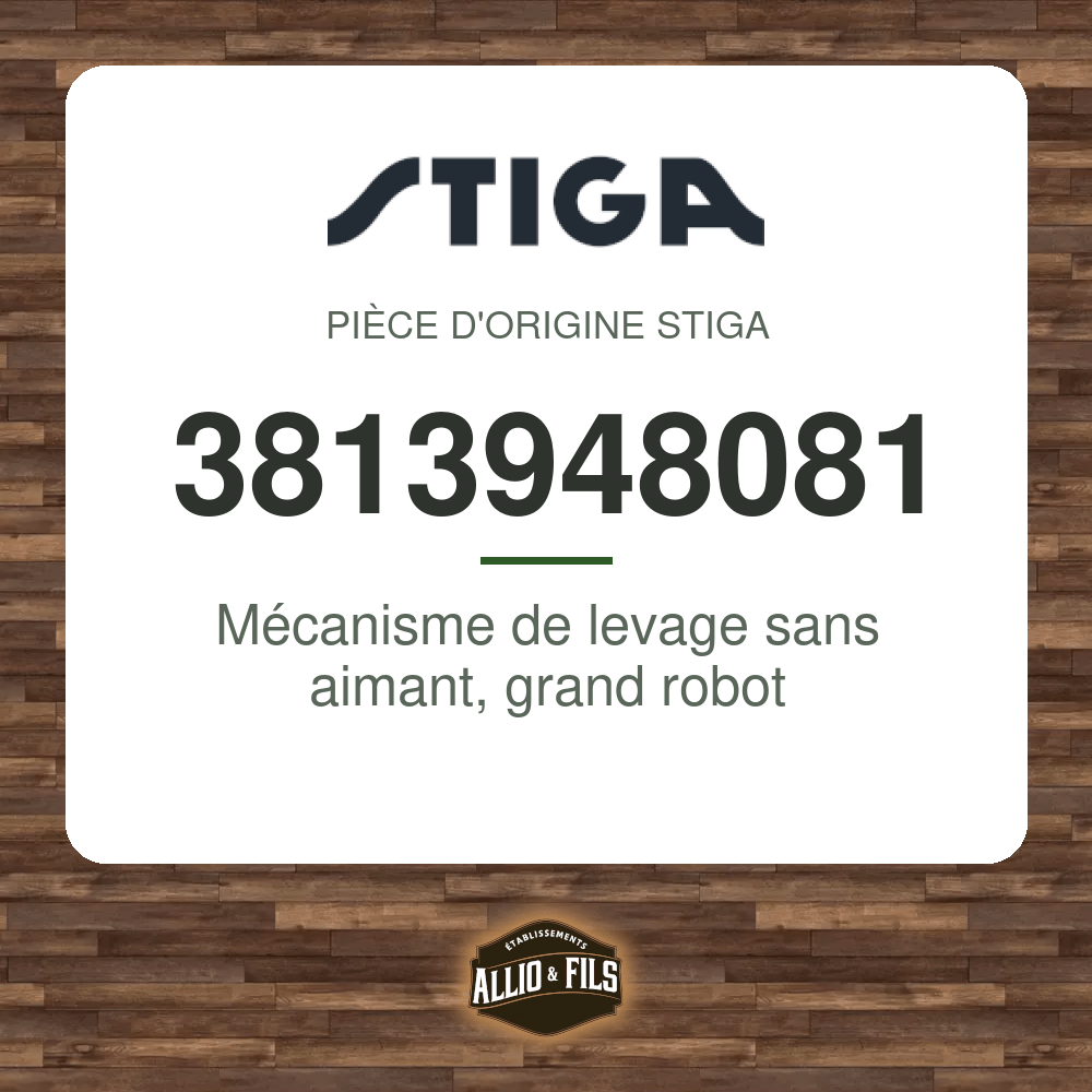 ?f=ST3813948081-98198