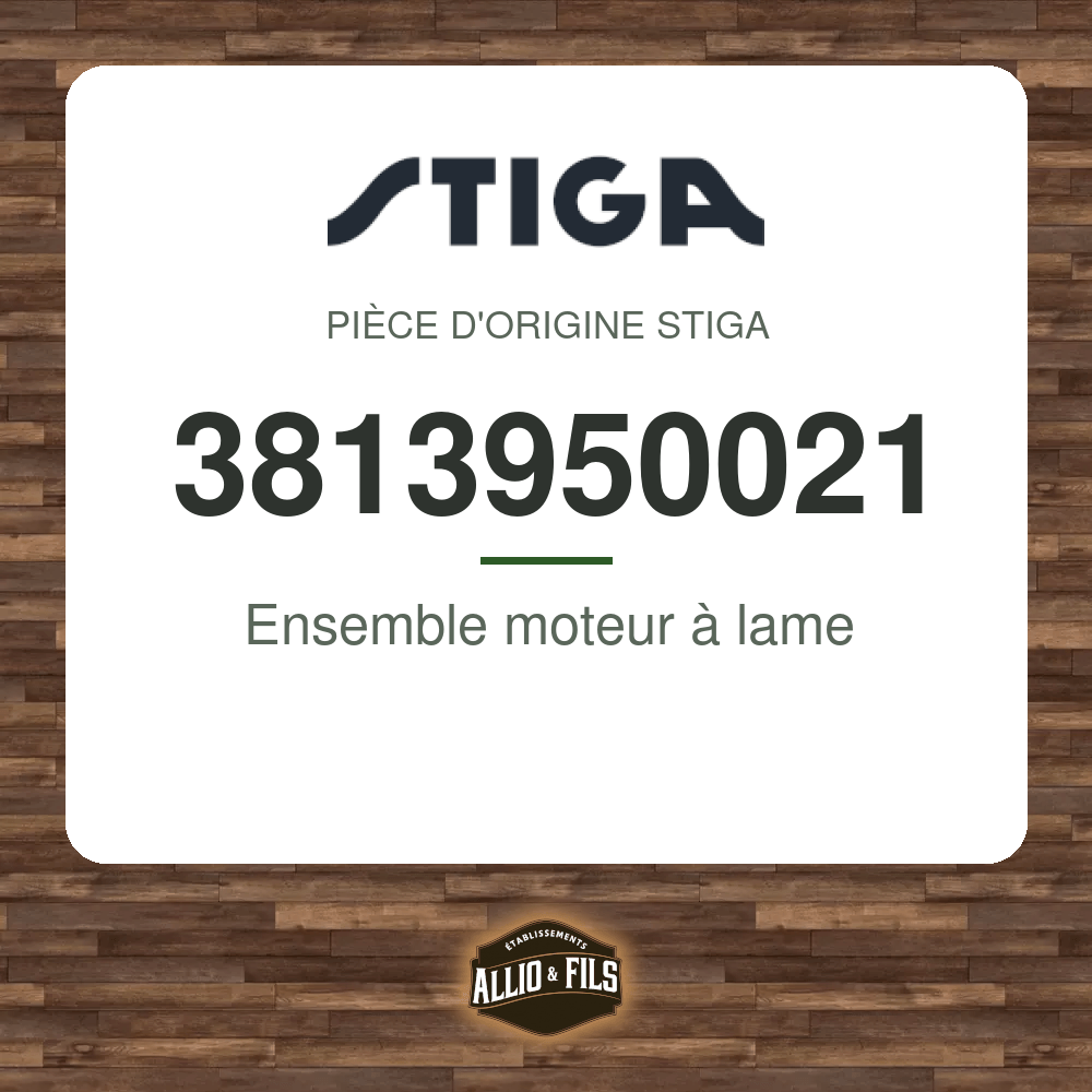 ?f=ST3813950021-98199