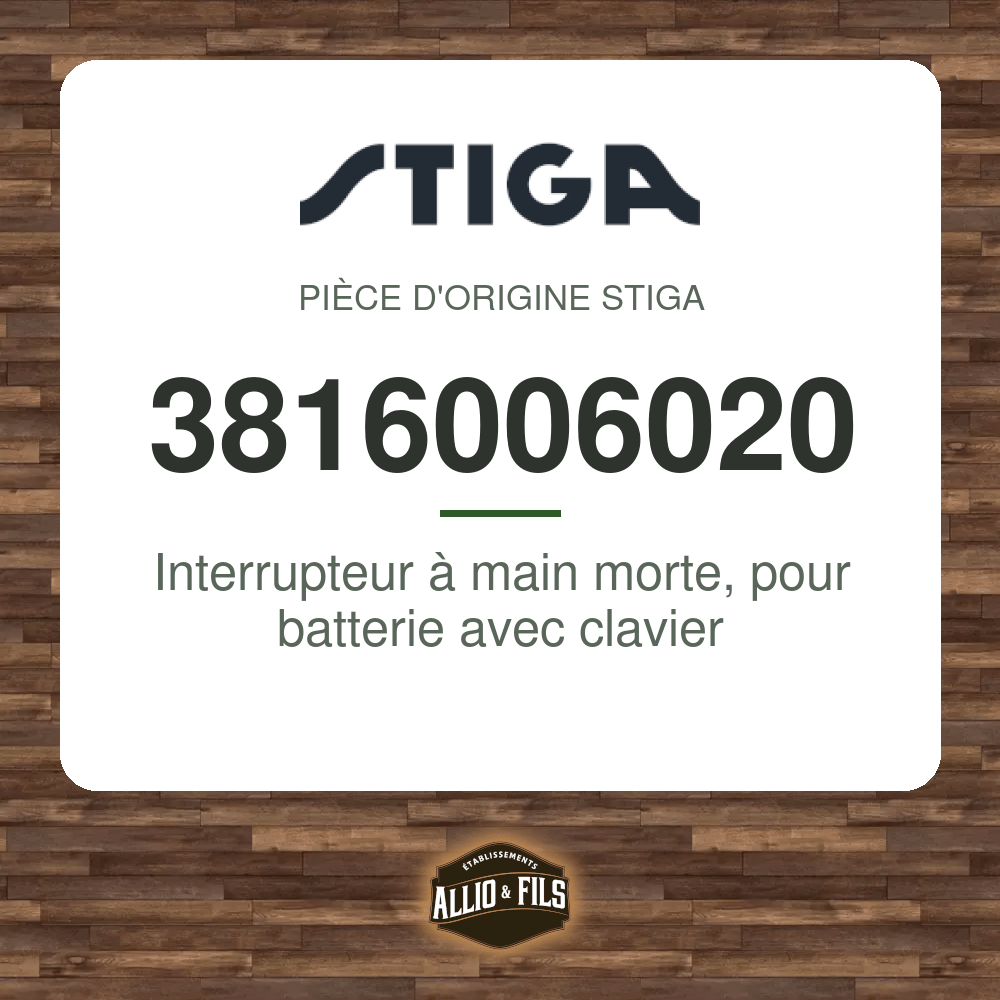 ?f=ST3816006020-98221