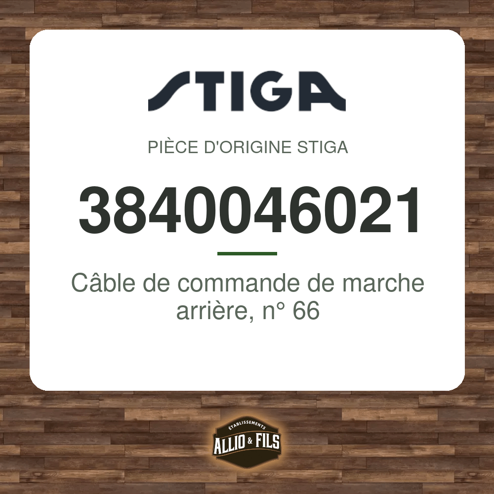 ?f=ST3840046021-98418