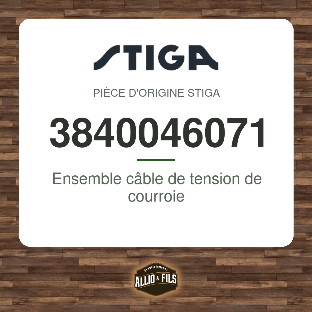 ?f=ST3840046071-98420