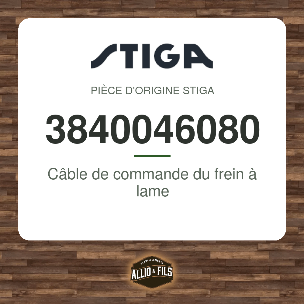 ?f=ST3840046080-98421