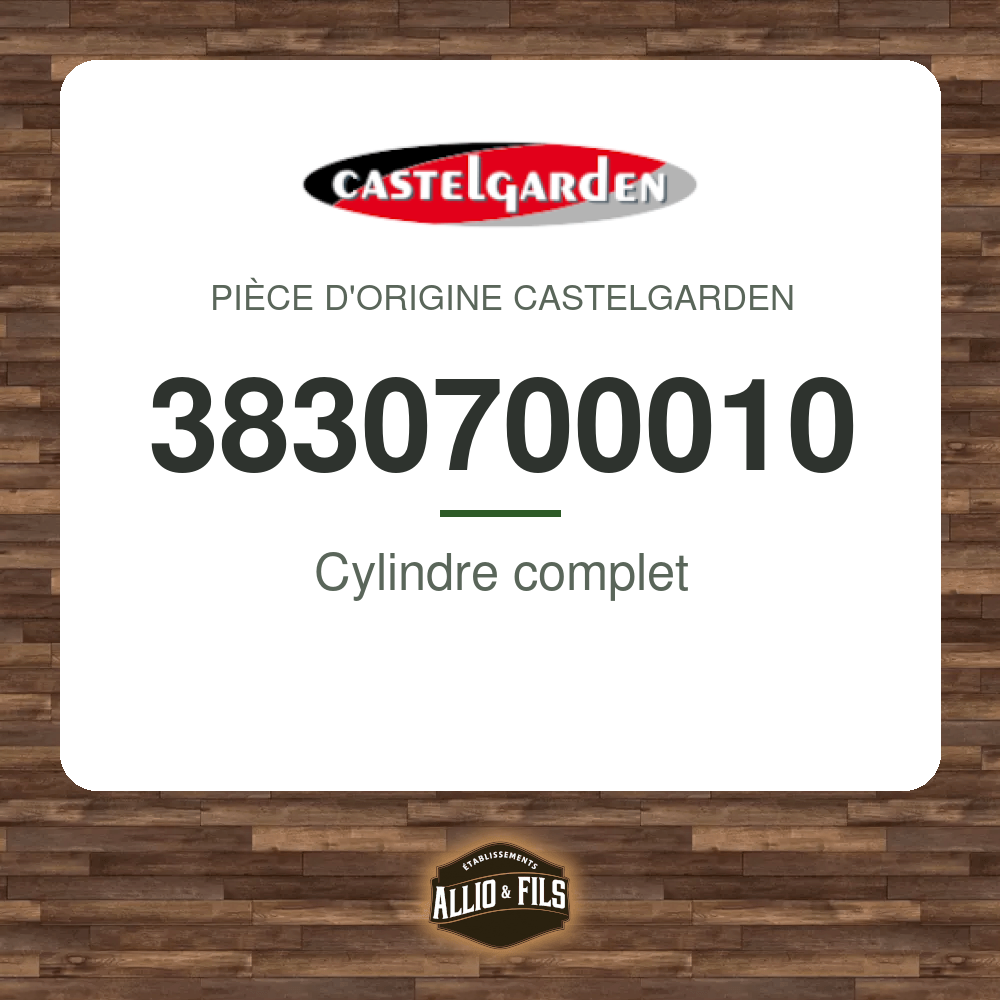 Cylindre complet - Castelgarden 3830700010