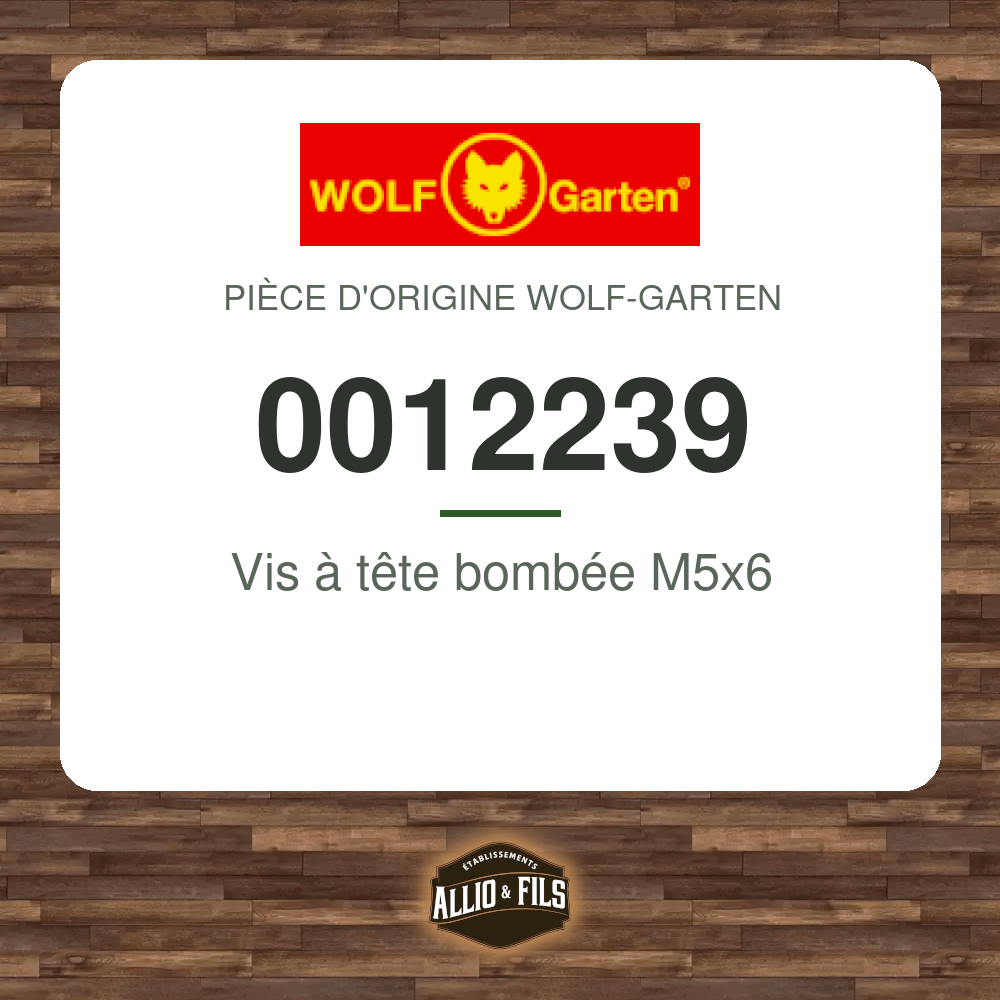 Vis à tête bombée M5x6 - Wolf-Garten 0012239